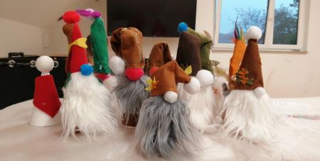 PGD Selo pri Mirni, dan odprtih vrat, okt 2022, foto PGD Selo pri Mirni (3)